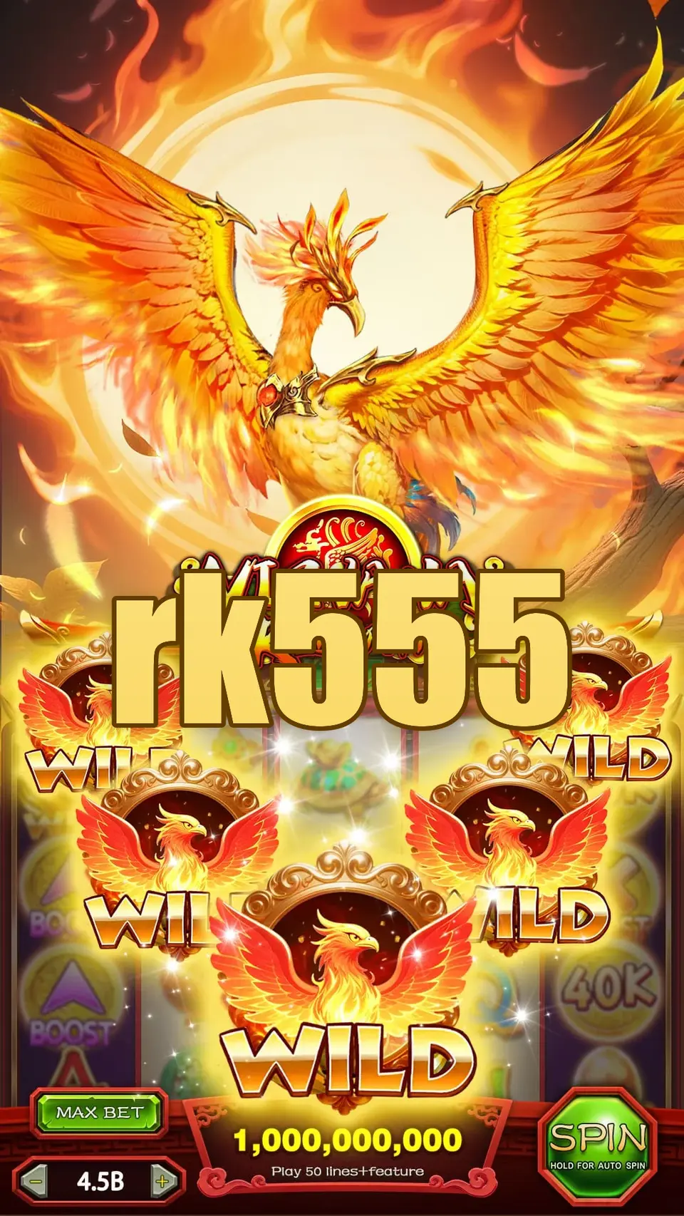 rk555 Masuk